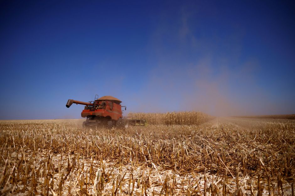 Colheita da 2ª safra de milho atinge 10%, ritmo mais acelerado desde 2013, diz AgRural