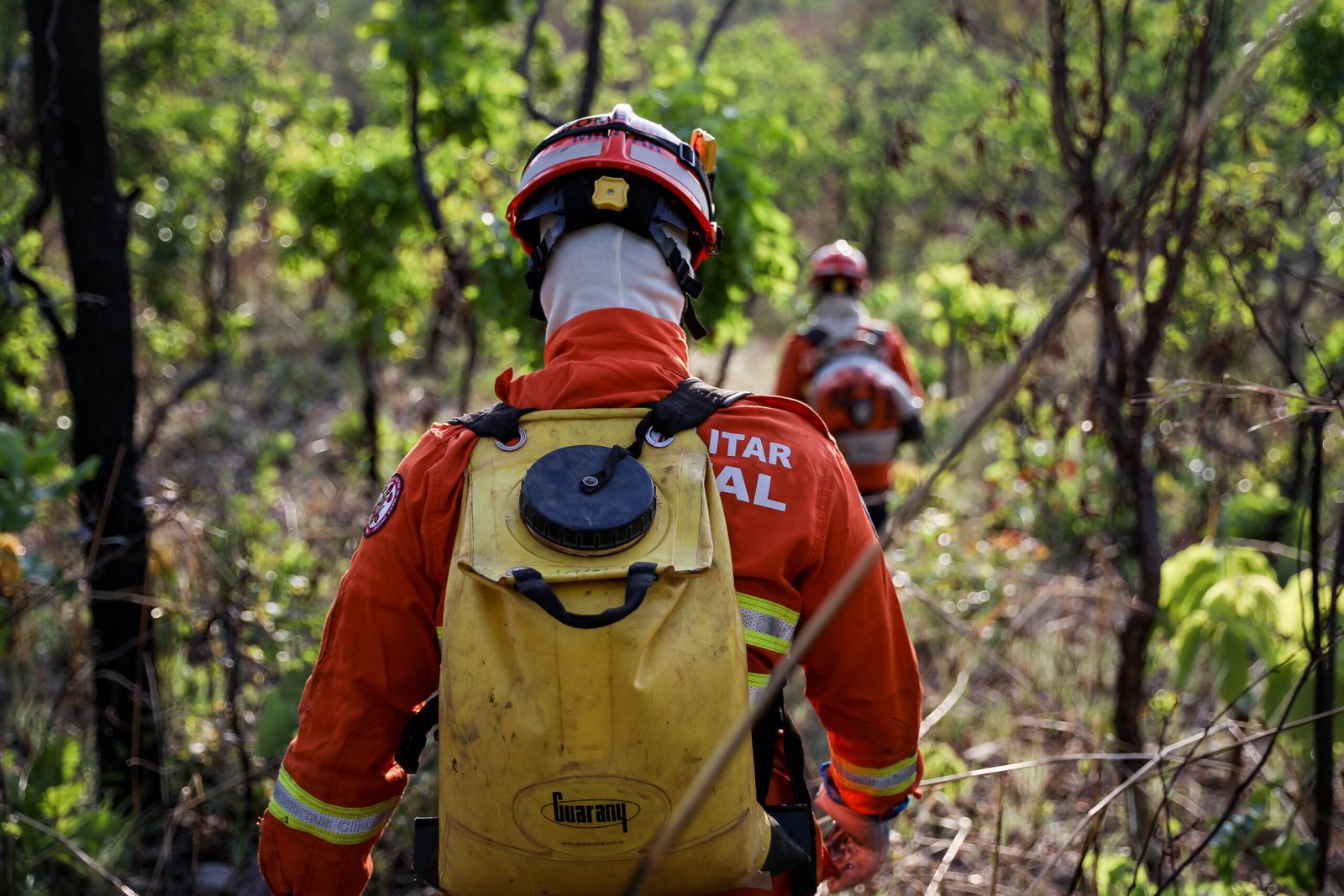 Corpo de Bombeiros extingue incêndio florestal em Cáceres neste sábado (27)