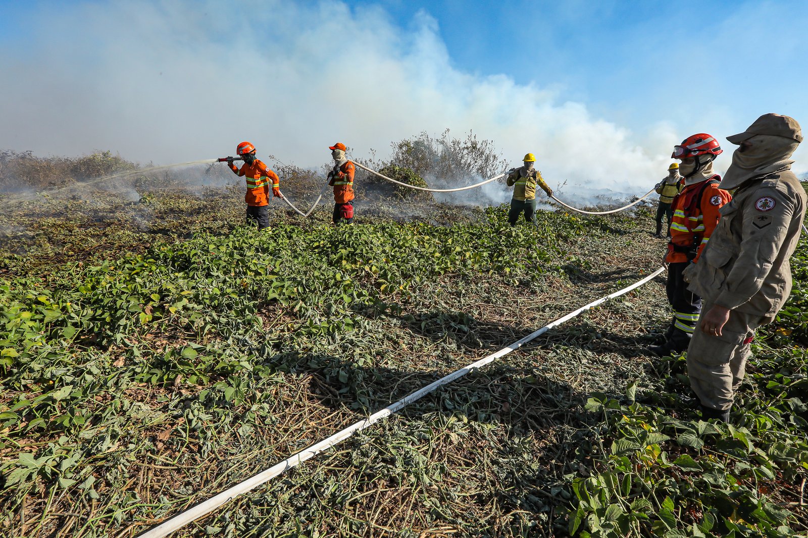 Corpo de Bombeiros combate 18 incêndios em Mato Grosso nesta quarta-feira (07)