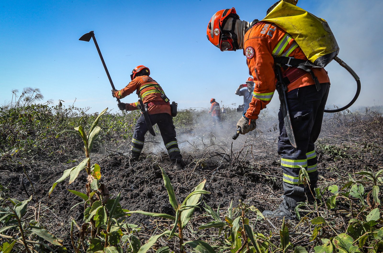 Corpo de Bombeiros combate 43 incêndios florestais em MT neste sábado (07)