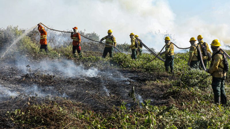 Corpo de Bombeiros combate 48 incêndios florestais no Estado nesta quarta-feira (11)