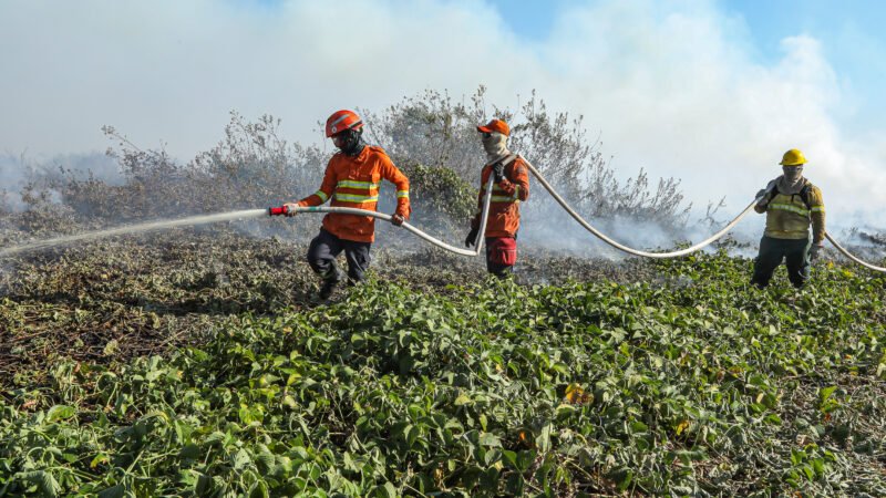 Corpo de Bombeiros combate 34 incêndios florestais nesta sexta-feira (20)