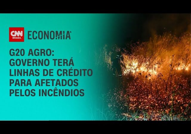 Conab vê queda de 4,3% na produção de carne bovina em 2025 com reversão do ciclo