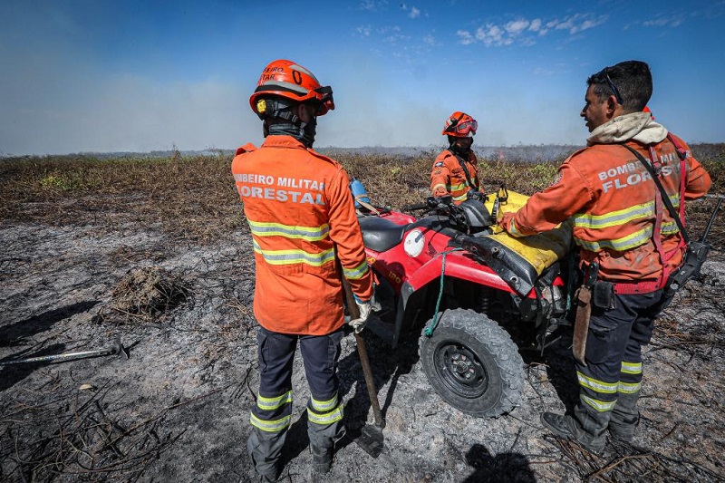 PJC prende 16 pessoas por fazerem queimadas em florestas em MT