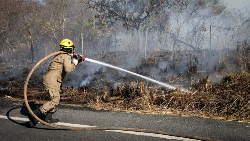 Corpo de Bombeiros lança concurso de redação para conscientizar estudantes sobre educação ambiental