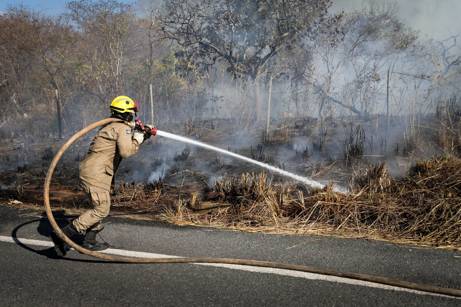 Corpo de Bombeiros lança concurso de redação para conscientizar estudantes sobre educação ambiental