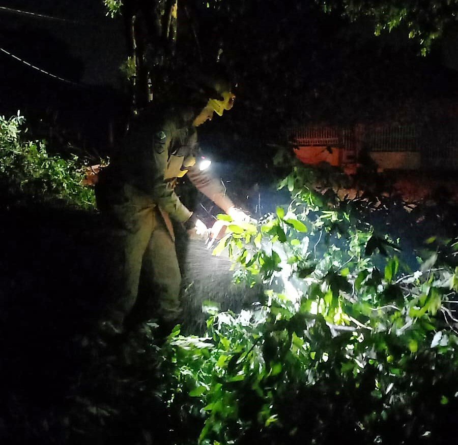 Bombeiros militares cortam árvores e desobstruem vias após tempestade em Alta Floresta