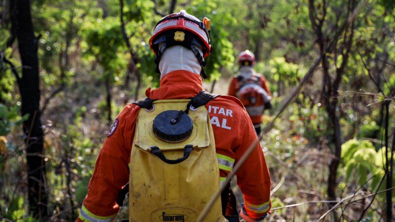 Corpo de Bombeiros combate 27 incêndios florestais em Mato Grosso neste domingo (13)