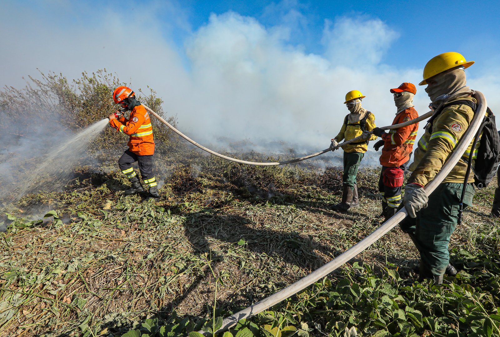 Bombeiros de MT combatem 36 incêndios florestais no Estado nesta segunda-feira (30)