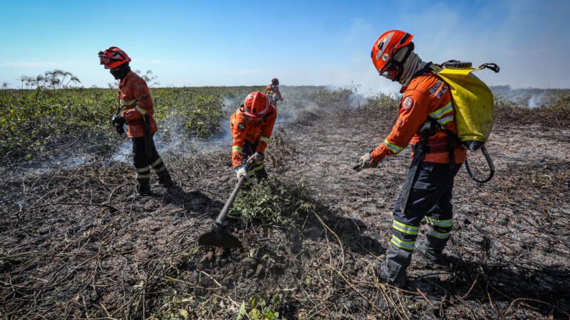 Entenda as estratégias e técnicas que o Corpo de Bombeiros usa no combate aos incêndios florestais