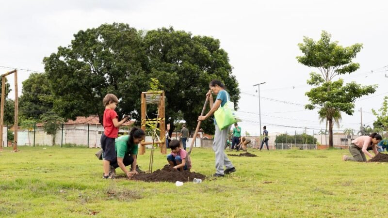 Sema participa neste sábado de plantio de mudas no trevo do Terminal Rodoviário de Cuiabá